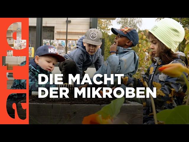 Die Macht der Mikroben | Doku HD | ARTE