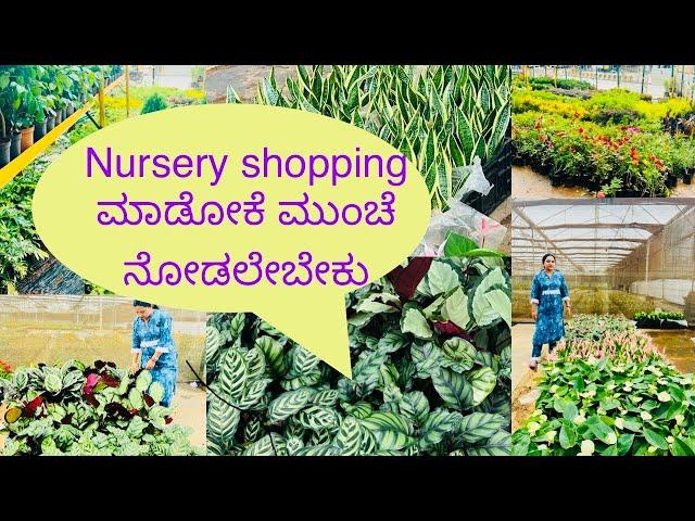 Gardening ನಲ್ಲಿ ಹೊಸಬರಾಗಿದ್ದರೆ Miss ಮಾಡದೆ ನೋಡಿ / Nursery shopping ಮಾಡುವ ಮೊದಲು ಯಾವೆಲ್ಲ tips ನೆನಪಿಡಬೇಕು