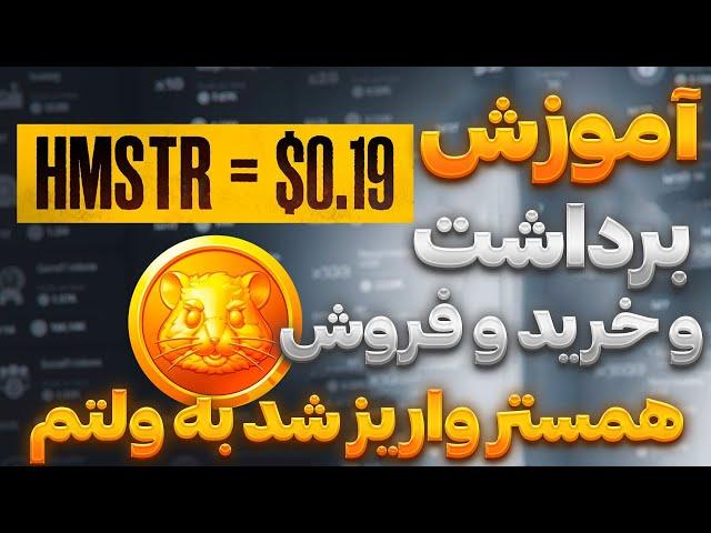 توکن همستر واریز شد به ولتم (واقعی) آموزش خرید فروش همستر