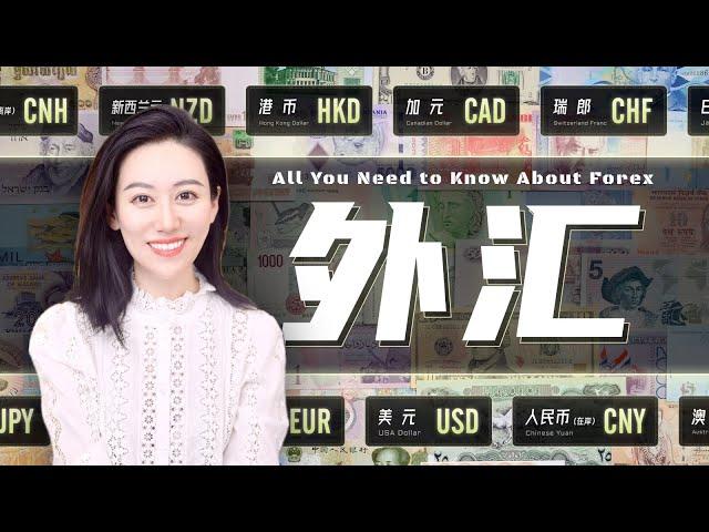 【硬核】一口气了解外汇 | Everything You Need To Know About Foreign Exchange