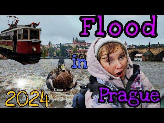 Surprise Flood in Prague 2024. The City’s Hidden Beauty in the Rain.