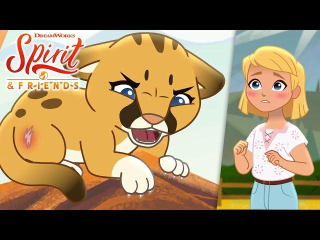  Chompy the Baby Mountain Lion | Exclusive Shorts | SPIRIT & FRIENDS