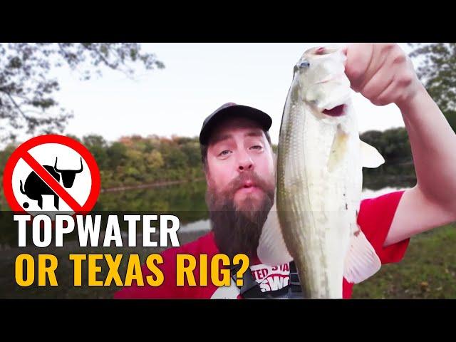 Topwater vs Texas Rig - Which Lure Will Catch More Bass?