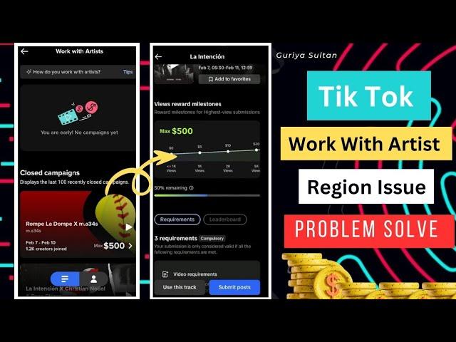 Tiktok Work With Artist Region Issue | No Campaigns Yet Issue |  Solved | Guriya Sultan
