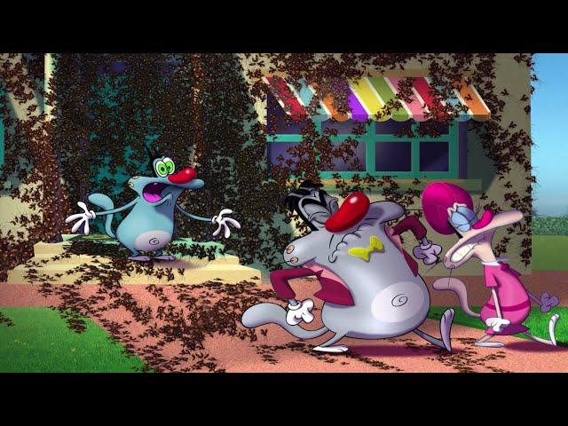 हिंदी Oggy and the Cockroaches  A LOT OF COCKROACHES  Hindi Cartoons for Kids
