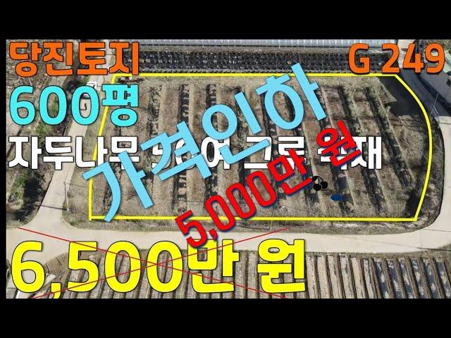 [당진부동산 몽땅][당진토지 50여 그루 자두나무심어져 있는 600평 면천면 땅 매매가격 5,000만 원 ][당진뉴금탑부동산]