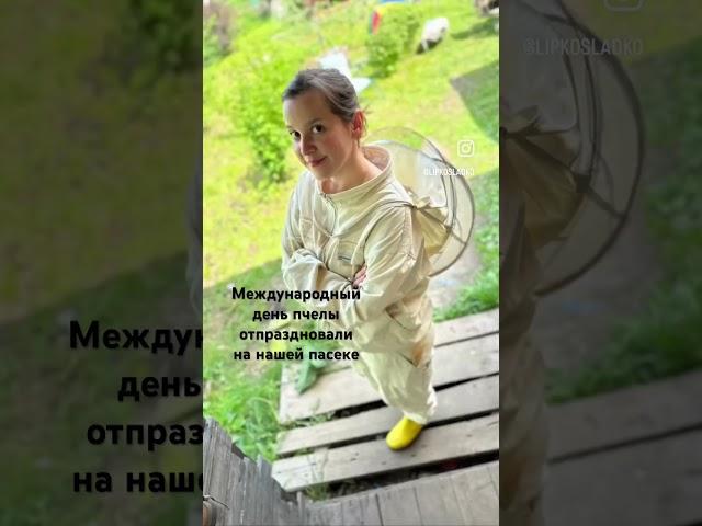 Пасека #пчеловодство #мёд #природа #пчелы