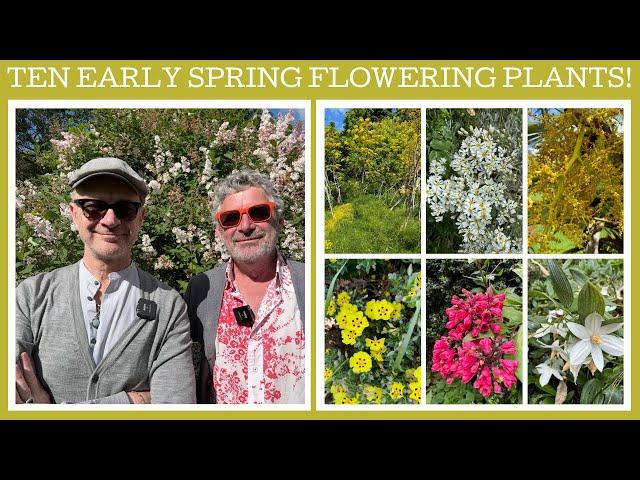 Ten early spring rare & interesting plants in bloom!