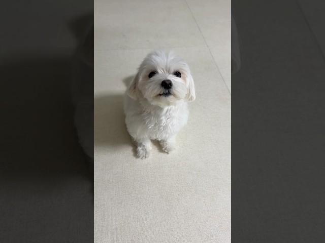 아침부터 이렇게 귀여울 일..??