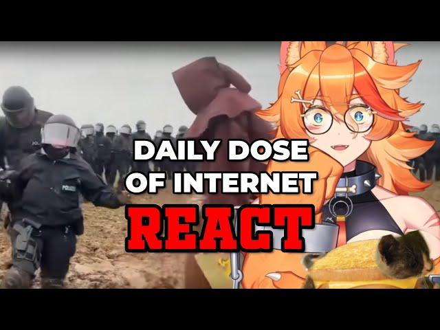 THE MUD WIZARD!!! | Buffpup Reacts to Daily Dose of Internet |