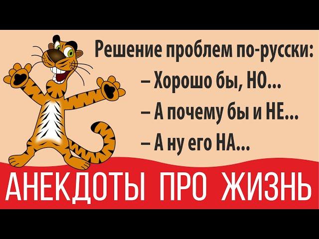Самые смешные анекдоты про жизнь в России в картинках и без мата - подборка первая