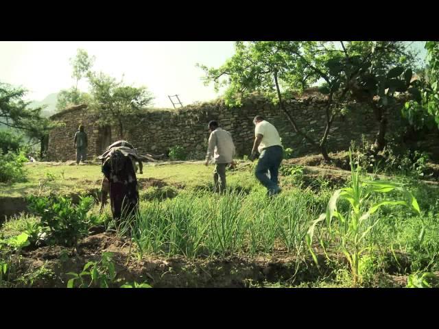 Tigray: Then and Now