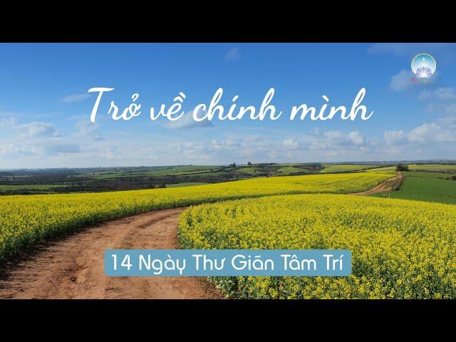 Thiền: Trở Về Chính Mình  | Inner Space