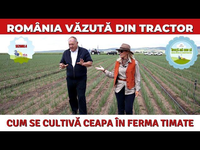 Cum se cultivă ceapa în ferma Timate / România Văzută Din Tractor