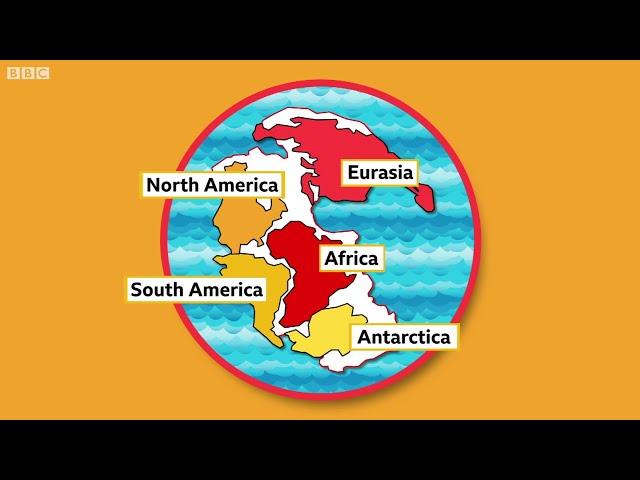 Did you know the world used to be one continent? - BBC What's New?