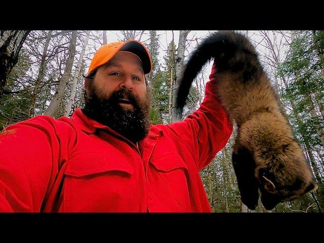 WILD TRAPLINE: Fisher Trailcam Footage