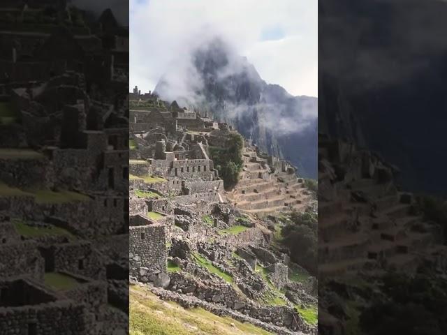 walking in Machu Picchu #machupicchu #cusco #peru #travel #hiking #southamerica #shorts