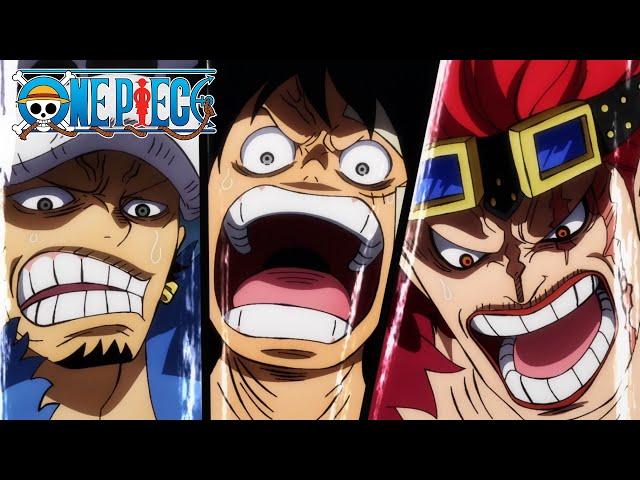 Luffy, Kid, and Law Risk Their Crew Over Being Manly | One Piece