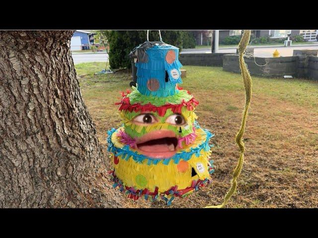 Life of A Piñata