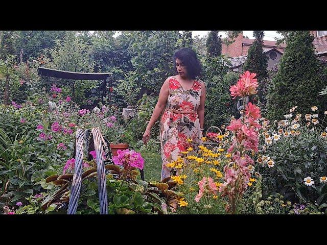 Flower Shop Tour | Perennial Flowers