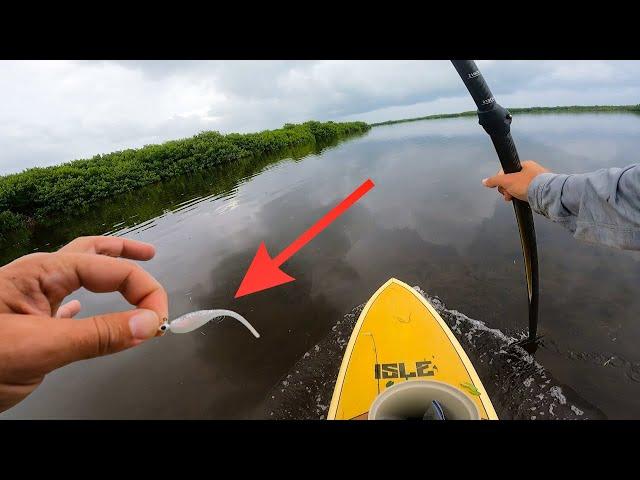 Using Crappie jigs in Saltwater Mangroves