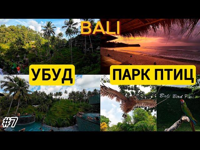 ВЫХОДНЫЕ В УБУДЕ - CRETYA UBUD | ПАРК ПТИЦ БАЛИ | VLOG