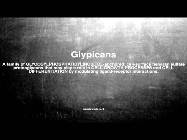 Medical vocabulary: What does Glypicans mean