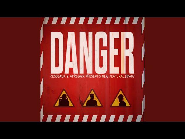 Danger (AFROJACK Presents NLW)