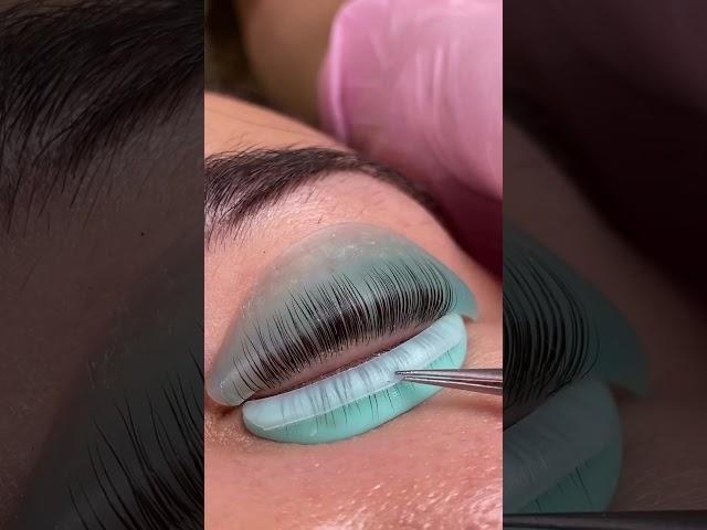 Lash Lift Tip: InLei FORMA Shields