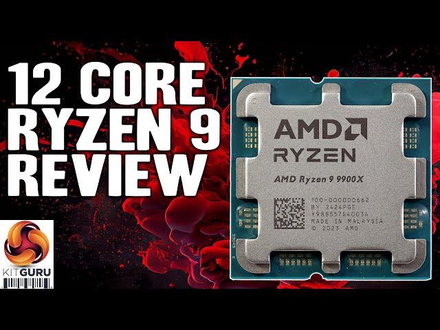 AMD Ryzen 9 9900X - 12 Core Zen 5 Review