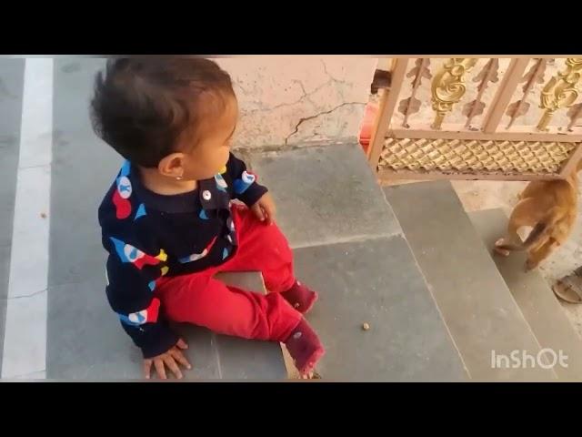 #Morning masti//#hitansh//#latasha//#doggy//pm Marwadi masti//#latu&hitukimasti