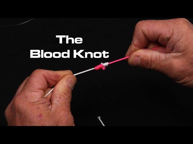 Line to Line | The Blood Knot | Saltwater Experience