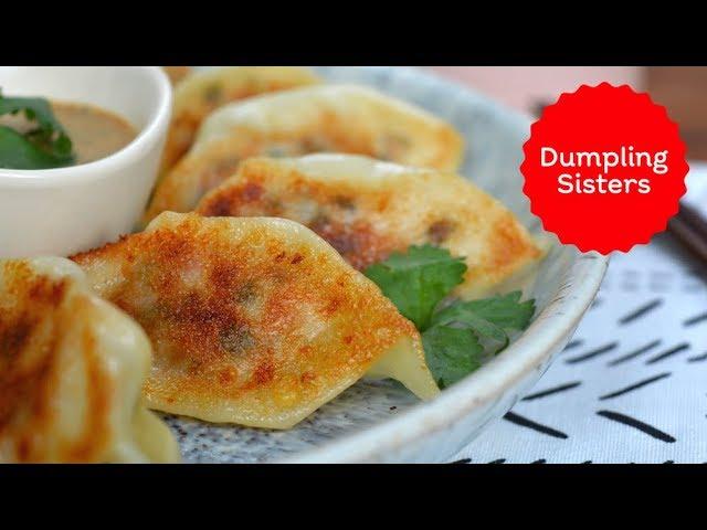 Easy Potsticker Dumplings | DUMPLING SISTERS #partner