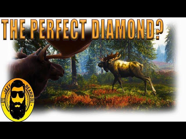 The Perfect Diamond Animal? Layton Lakes Hunt in theHunter Call of the Wild!