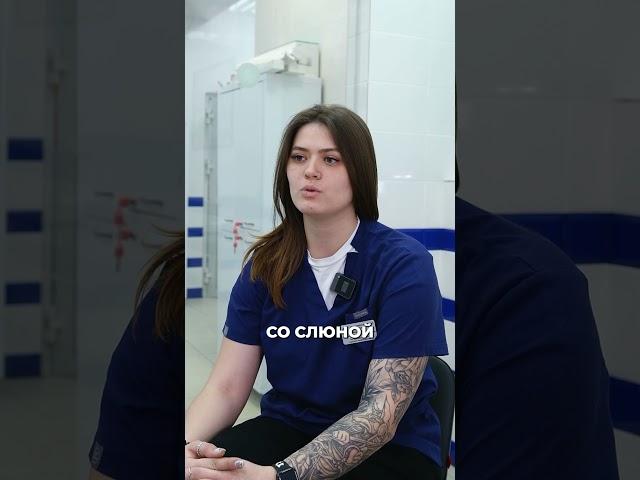Как животному не заразиться парвовирусом? #ветеринария #парвовирус #гастроэнтерит #энтерит #животные