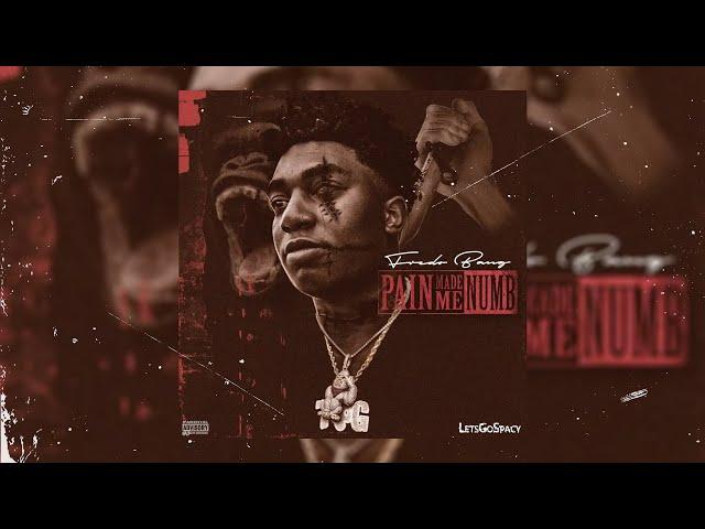 [FREE] {+10} Fredo Bang Loop Kit 2022 ''Pain Made Me Numb'' (NBA YB, P Yungin, Quando Rondo, etc.)