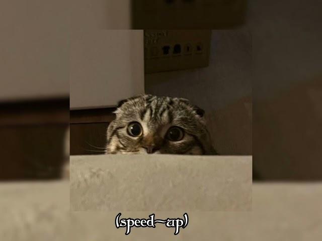 Gel ey gözlerim(speed up)