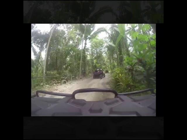 Jungle Buggies in Bali - fun plus