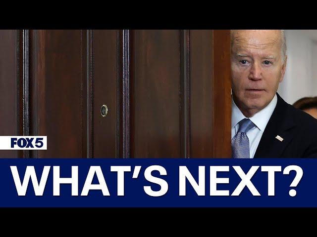 Presidential predictor Allan Lichtman discusses what's next after Biden drops out of presidential ra