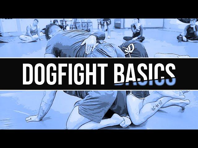 DOG FIGHT BASICS (Plan B & Oldschool Sweep)