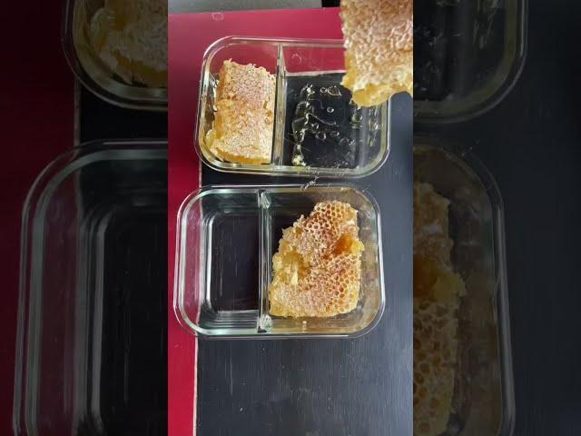 Dealing with the Abundance: harvesting honey and beeswax! #growyourownfood #offgridliving