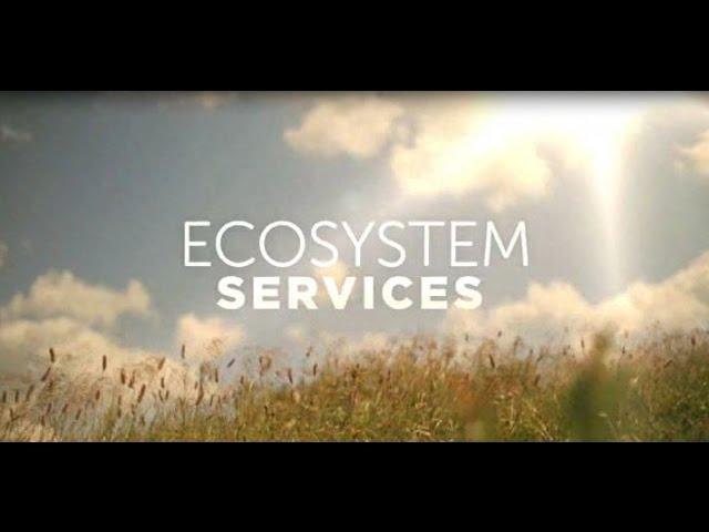 Ecosystem services