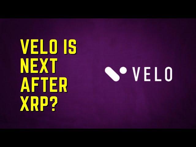 Velo Is The Next BIG THING?! - Asia's Version of XRP (Ripple) | Crypto Addict