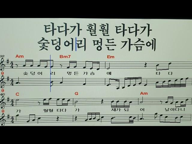 숯덩이 /하루 /김나경 TV /엘프 반주기