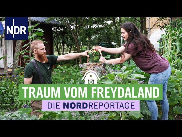 Hühner & eine Haussanierung - Wie erfolgreich ist ein Landleben | Nordreportage | NDR