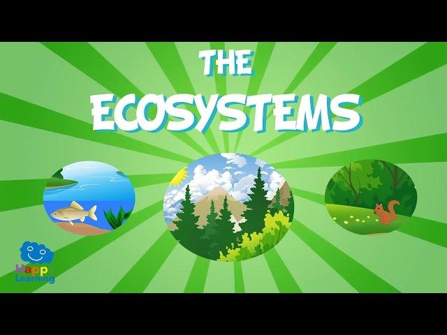 The Ecosystem | Educational Video for Kids