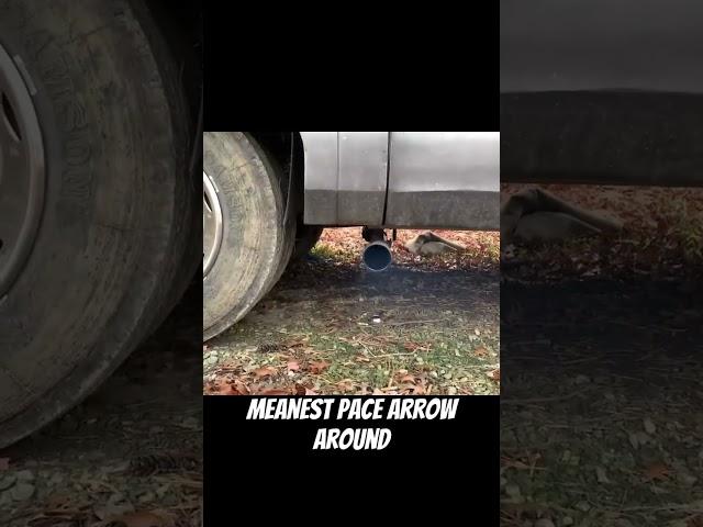 Meanest Pace Arrow around… #rv #carvlog #carchannel #civic #hondanation #automobile #mechanic