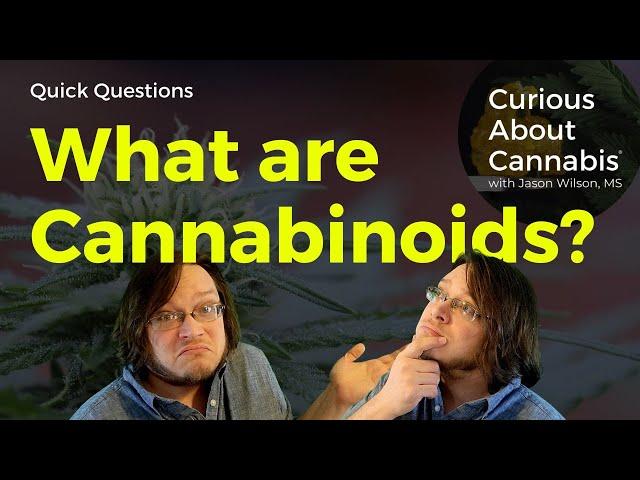 What are CANNABINOIDS? | Cannabis Education Quick Questions | Curious About Cannabis