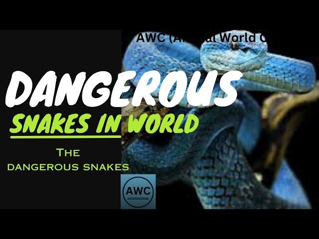 The Most Famous Snakes: Icons of the Reptile Kingdom