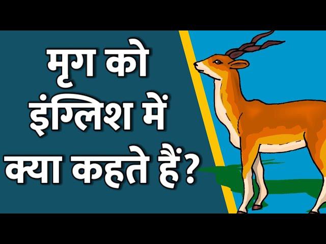 Mrug in English | मृग का इंग्लिश | Mrug ko English mein kya kahate Hain | Shabdkosh Dictionary